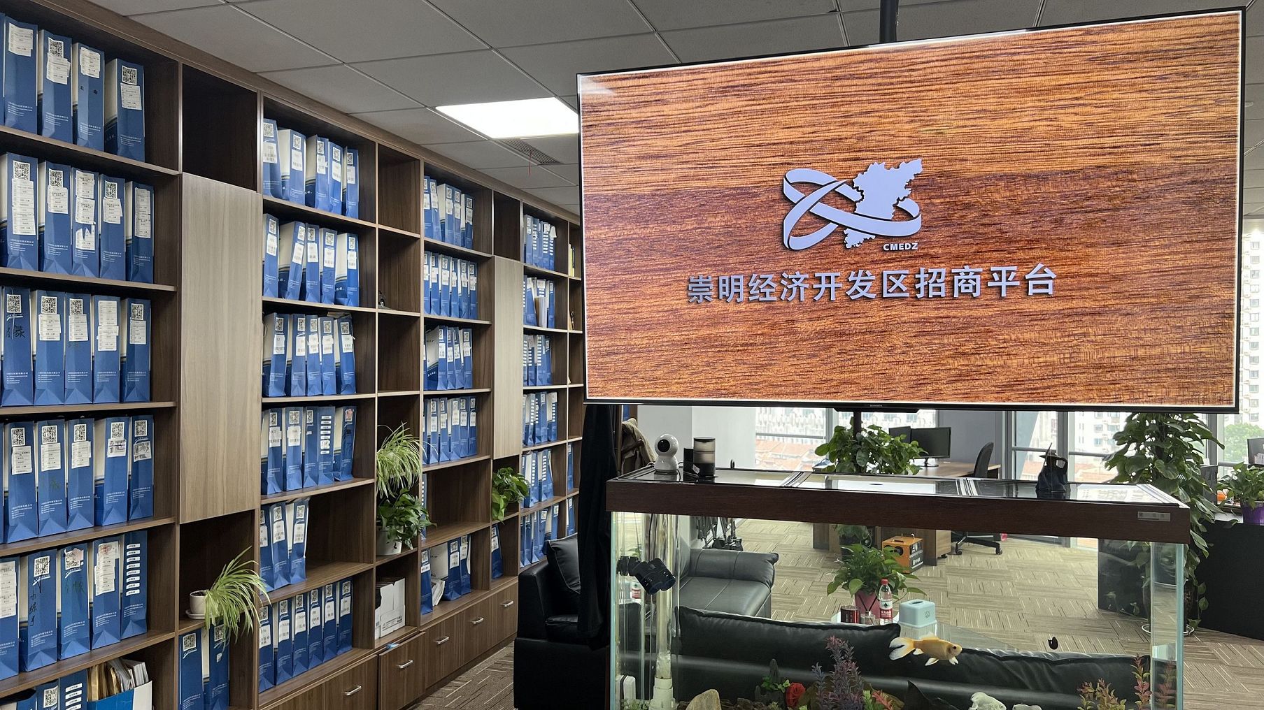 崇明集团公司登记的详细流程是怎样的？